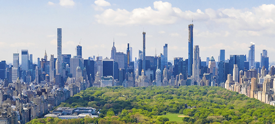 New York skyline over Central Park